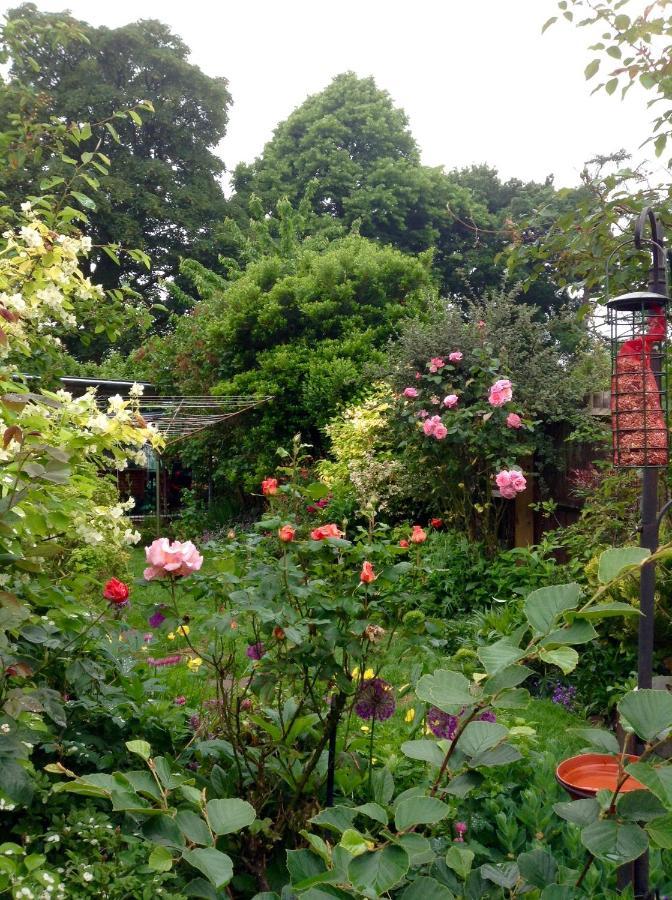Hyacinth Bed & Breakfast Wellington  Ngoại thất bức ảnh